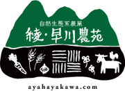 logo_ayahayakawa